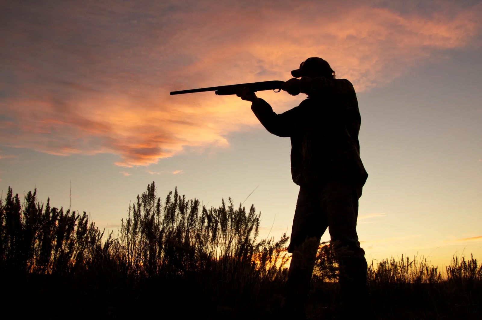 Virginia Sheriffs and Prosecutors Push Back on Gun Rights Infringement 